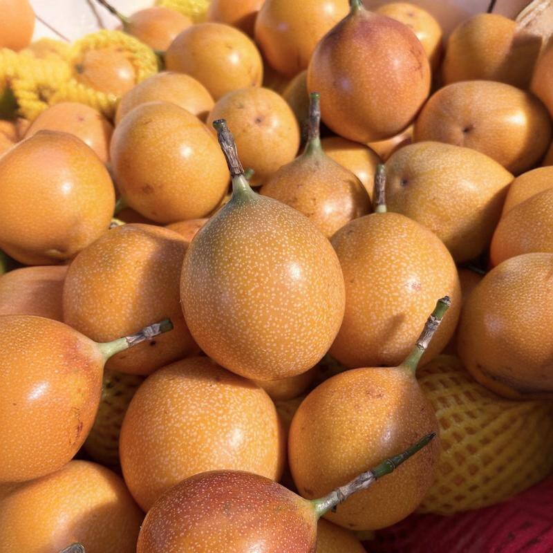 热情果新鲜礼盒5斤哥伦比亚云南西双版纳黄色百香果高端稀有水果
