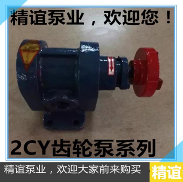 新品高温齿轮泵2CY1.08/2.5，2.1/2.5，3/2.5齿轮油泵渣油泵自吸