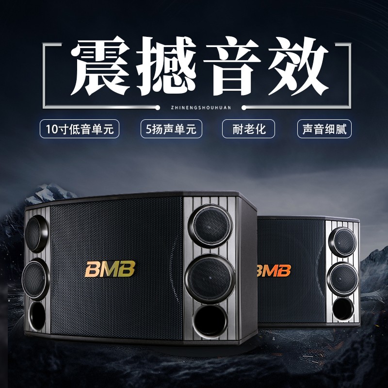 BMB CSD1000超重低音十寸12寸家庭KTV音响套装家用客厅卡拉OK音箱