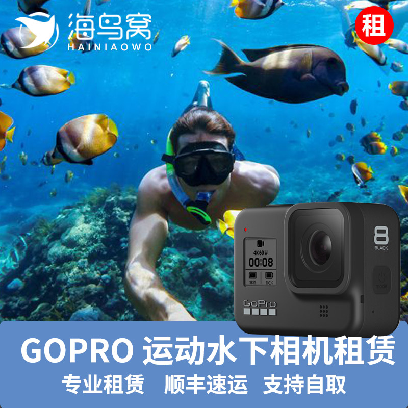 GoPro HERO8 Black海鸟窝水下运动相机租赁出租go pro 9潜水摄像