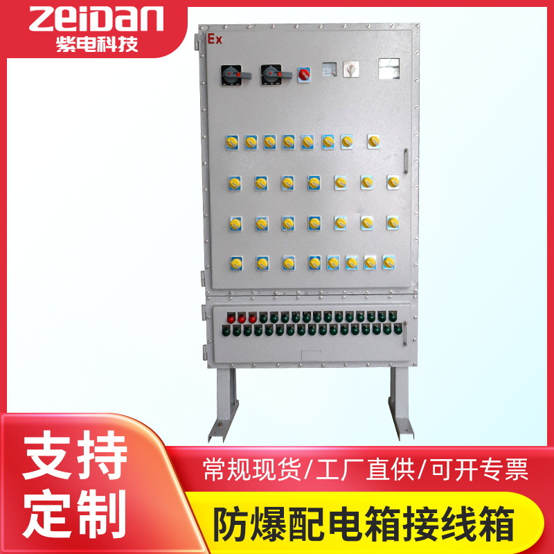 30回路碳钢防爆照明控制柜 不锈钢防爆仪表配电箱立式防爆柜