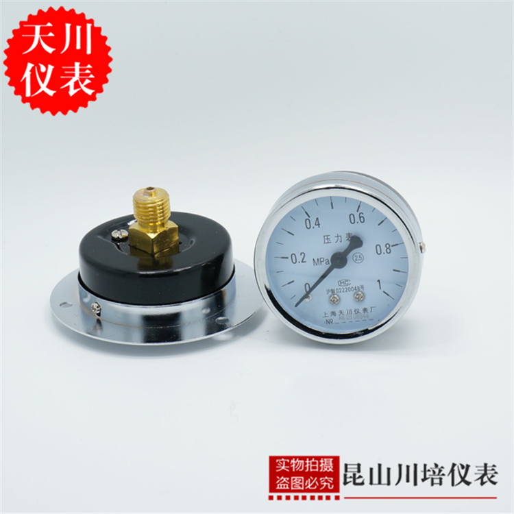 上海天川仪表Y-60ZT轴向带边压力表法兰边压力表面板气水压力表