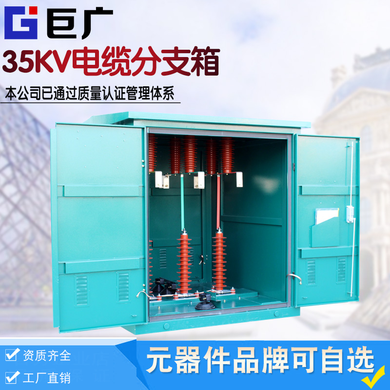 35KV高压电缆分支箱 DFW-35/630A DFW630-40.5欧式一进一出分接箱